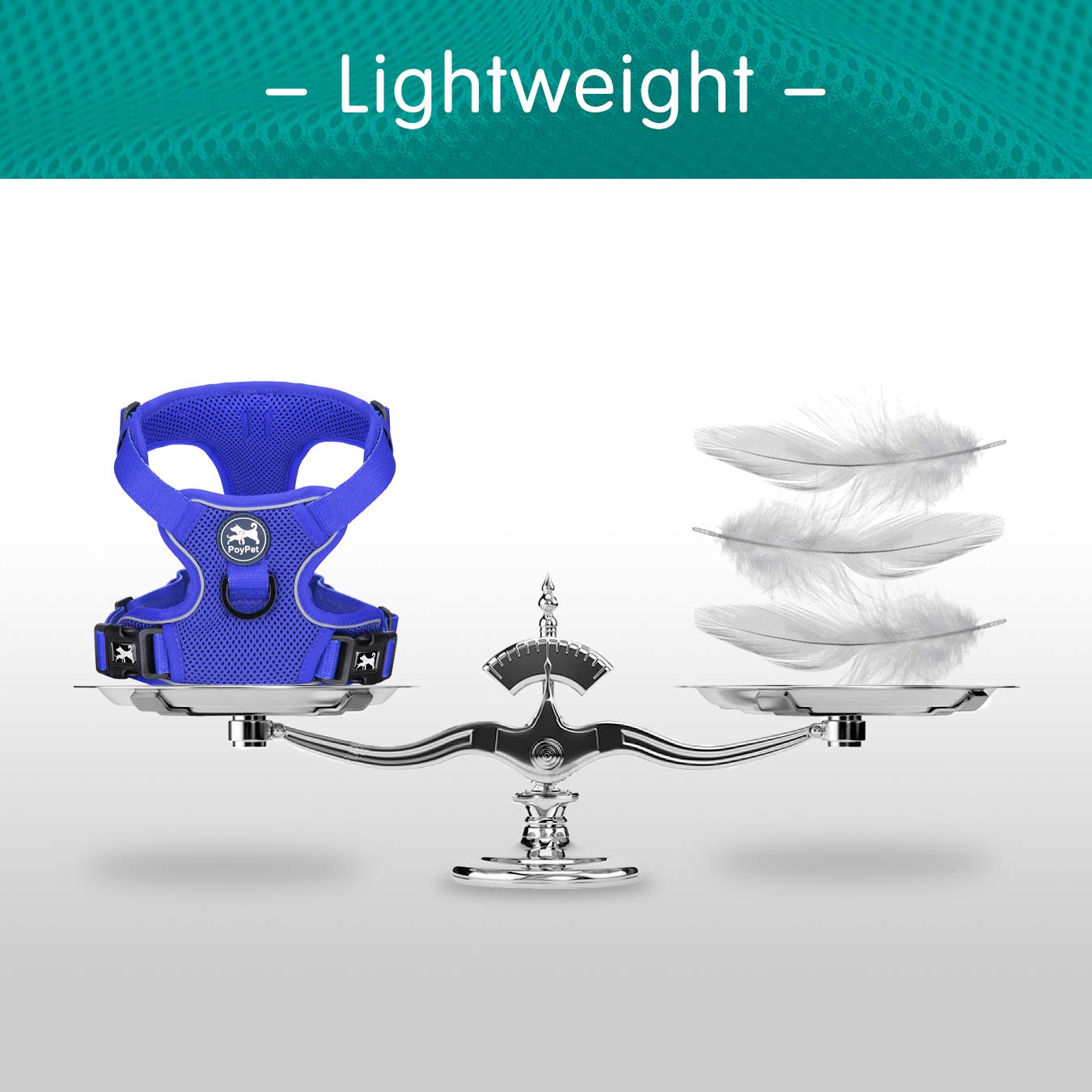 Poypet Reflective Soft Breathable Mesh Dog Harness Choke-Free Double Padded Vest With Adjustable Neck And Chest(Royal Blue,M)