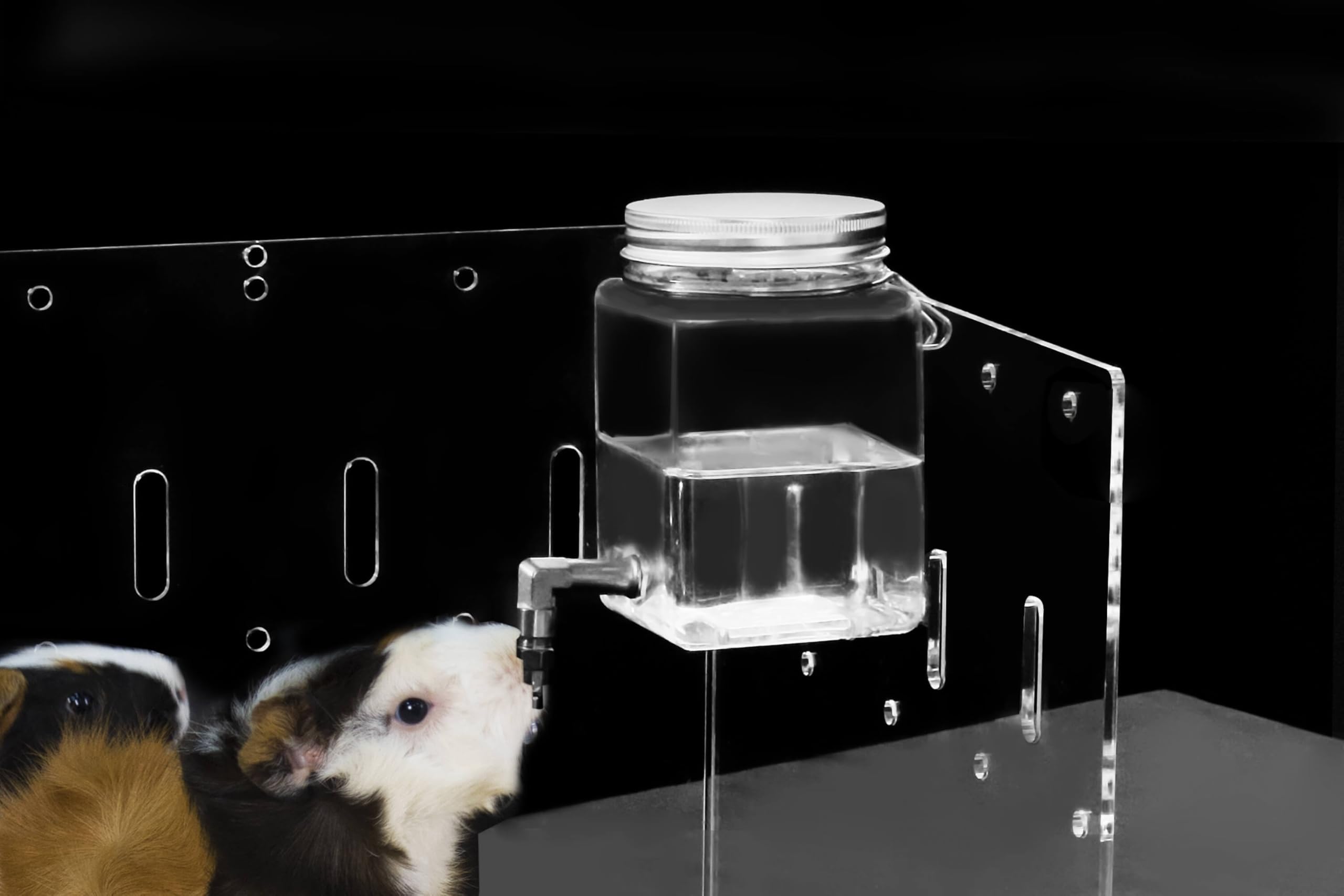 GuineaLoft Clear View Water Bottle for Guinea Pigs & Birds - The Ultimate Solution by Seasoned Owners Who Tried Everything Out T