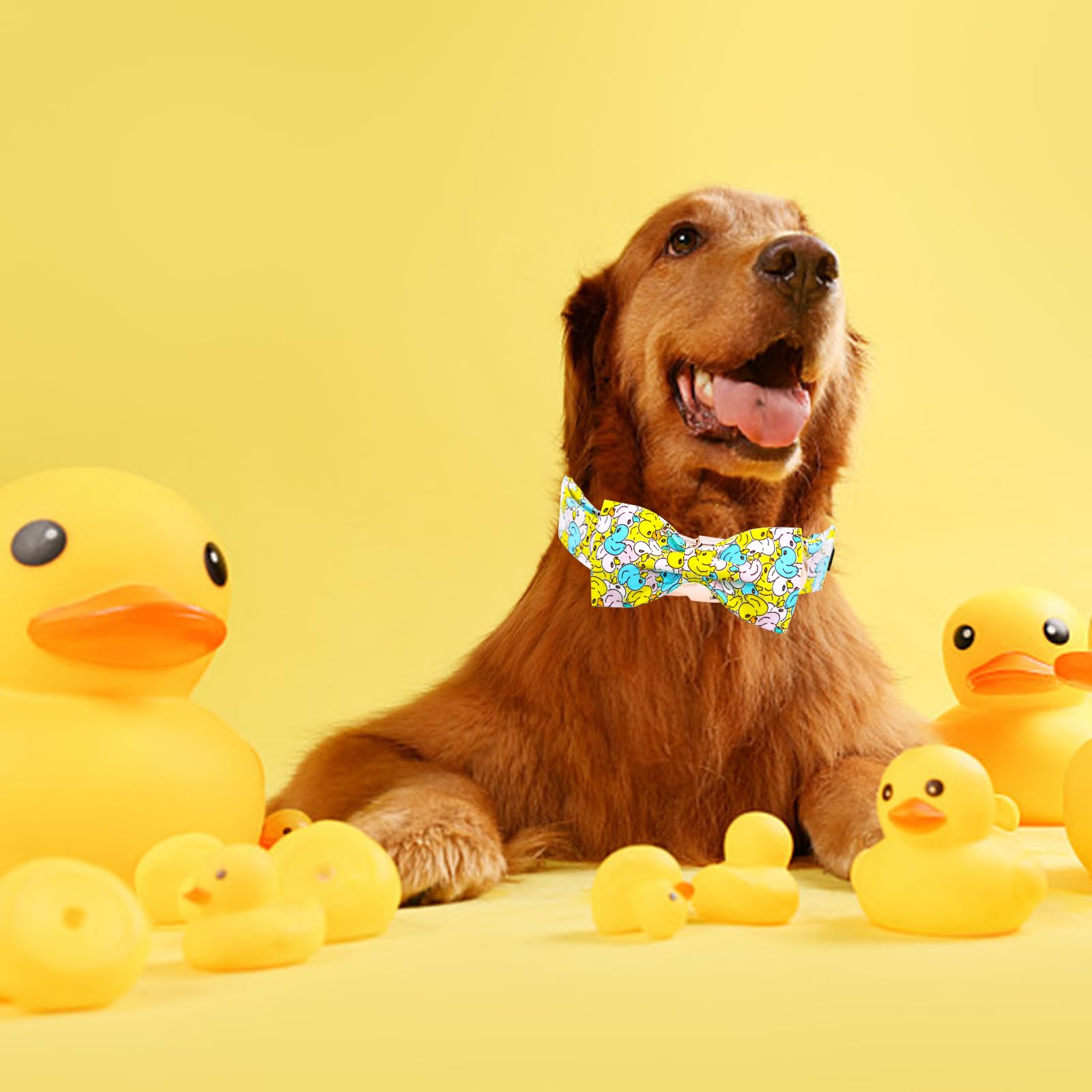 Elegant Little Tail Dog Collar- Cute Duck Dog Collar With Bow For Large Dogs, Female Or Male Adjustable Cotton Summer Pet Bow Ho
