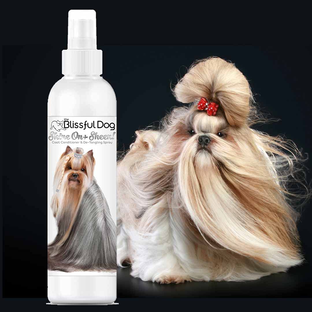 The Blissful Dog Shine-On + Sheen Coat Spray, All Natural, Leave-In Conditioner And Coat Detangler For Your Dog, 4 Oz
