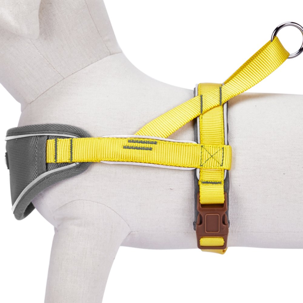 Blueberry Pet 8 Colors Soft & Comfy 3M Reflective Strips Padded Dog Harness Vest, Chest Girth 20.5'' - 25.5'', Sunshine Yellow,