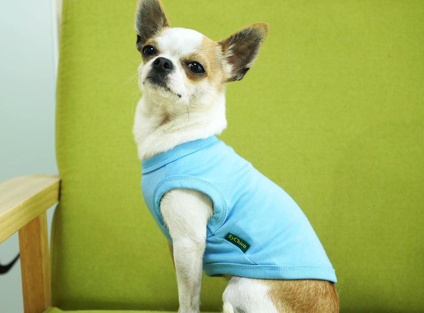 Sychien Dog Blank Blue Shirt,Boy Girl Dogs Large Tee Shirts,Plain French Bulldog T-Shirt,L Blue Royal