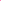 Christmas Pet Dog & Cat Shirt Screen Printed, &quot;Seas and Greetings&quot; Bright Pink SM (3-6 lbs.)
