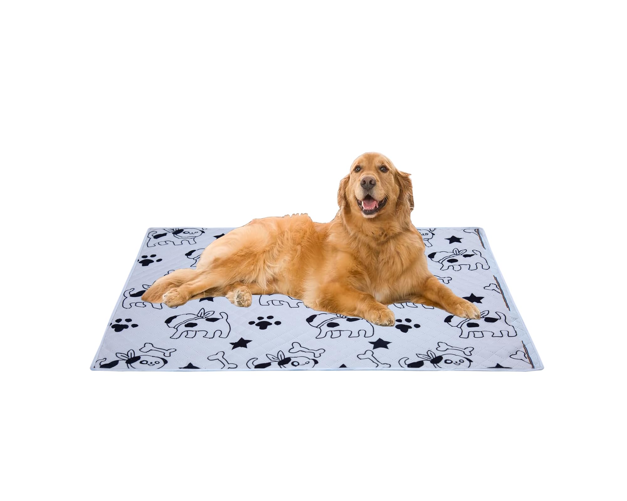 Aazeem Soft Light Weight Mat For Dogs, Cats & Pets, Skin Friendly Mat| Floormat | Pet Area Carpet | AntiSpill 40 X 53 Inches|Bl