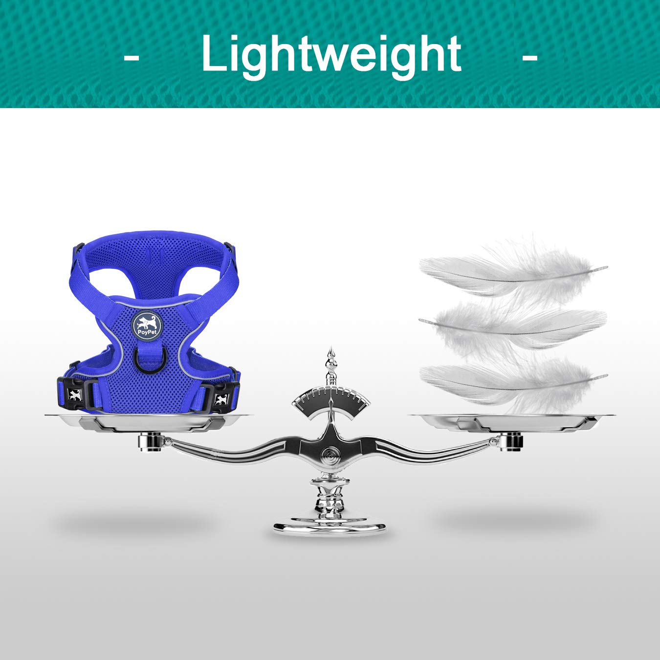 Poypet Reflective Soft Breathable Mesh Dog Harness Choke-Free Double Padded Vest With Adjustable Neck And Chest(Royal Blue,Xl)