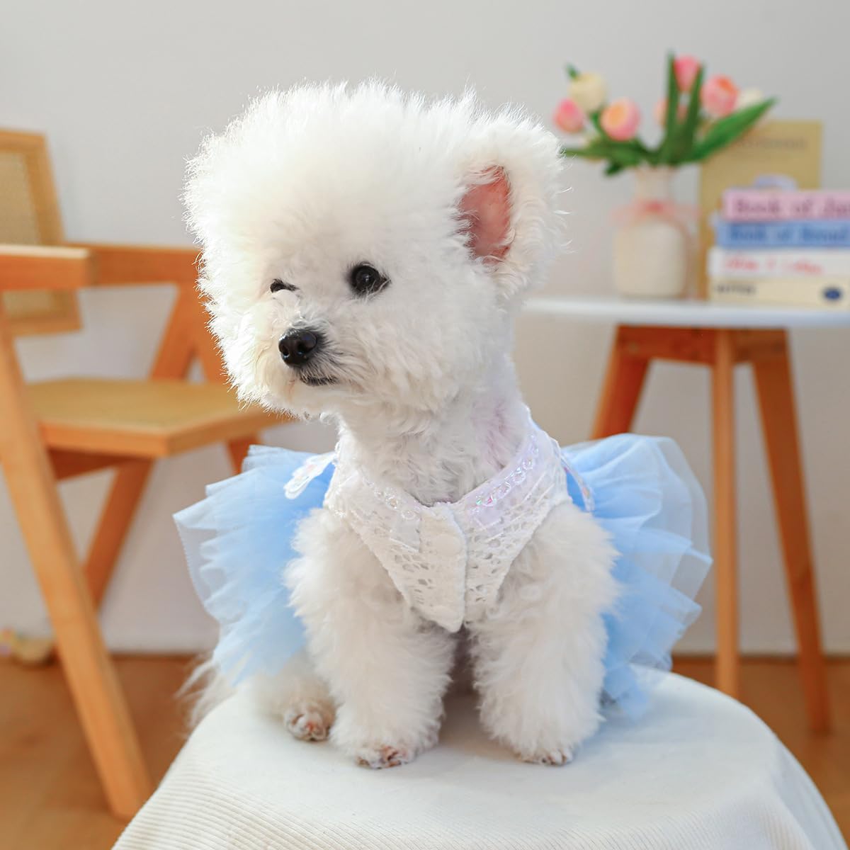 Marupet Fashion Sweet Puppy Dog Blingbling Princess Skirt Pet Dog Lace Cake Camisole Tutu Dress B-Light Blue Xs