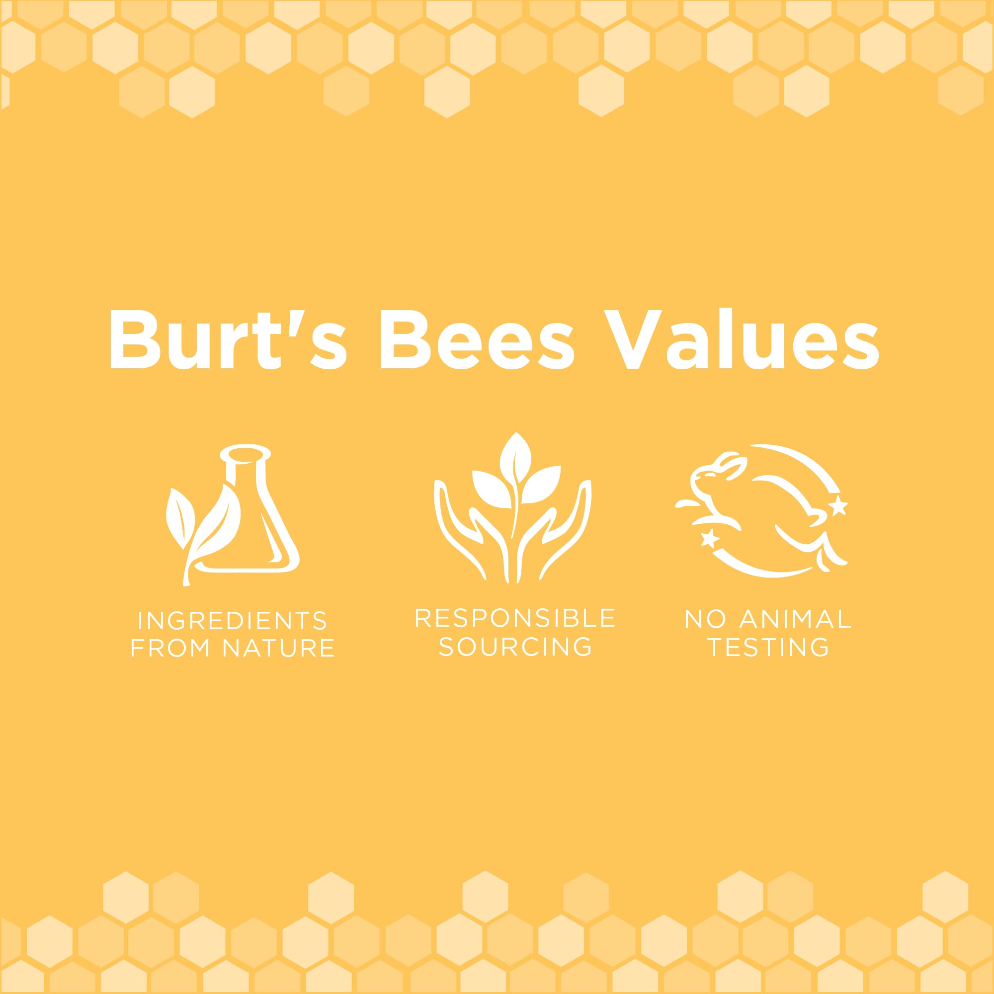 Burt'S Bees For Pets Deodorizing Spray For Dogs With Apple And Rosemary, 6Pk, 99.7% Natural Origin Formulas, Waterless Dog Shamp