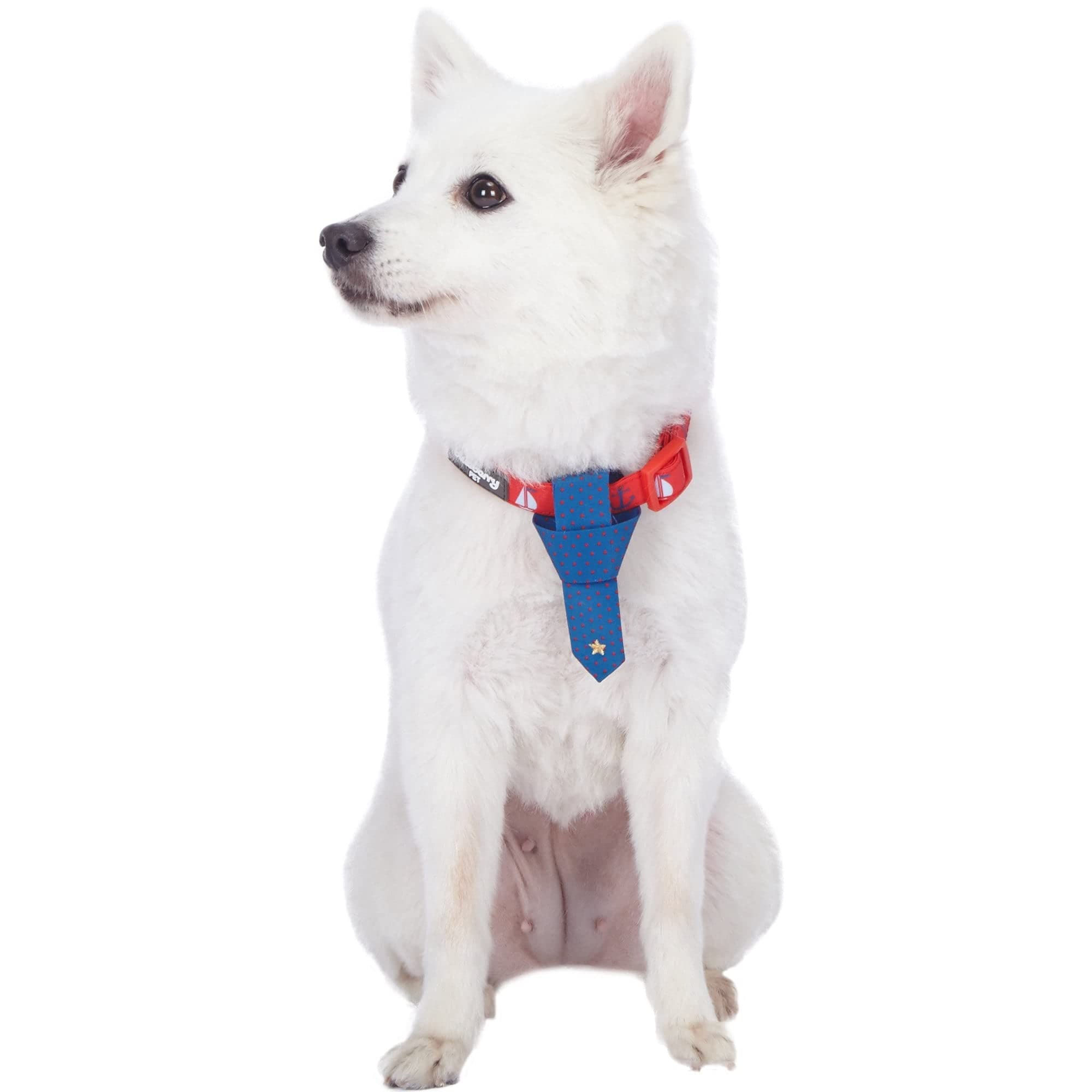 Blueberry Pet 4 Patterns Cardinal Red Nautical Sailboat Designer Adjustable Tie Dog Collar, Small, Neck 12-16