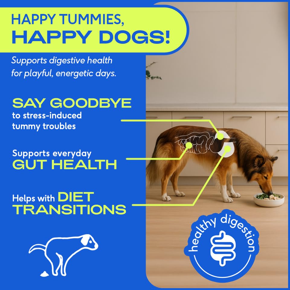 Native Pet Probiotics for Dogs - Dog Probiotics Powder for Digestive Health, Gut Support, & Immune Boost - Vet-Formulated Powder