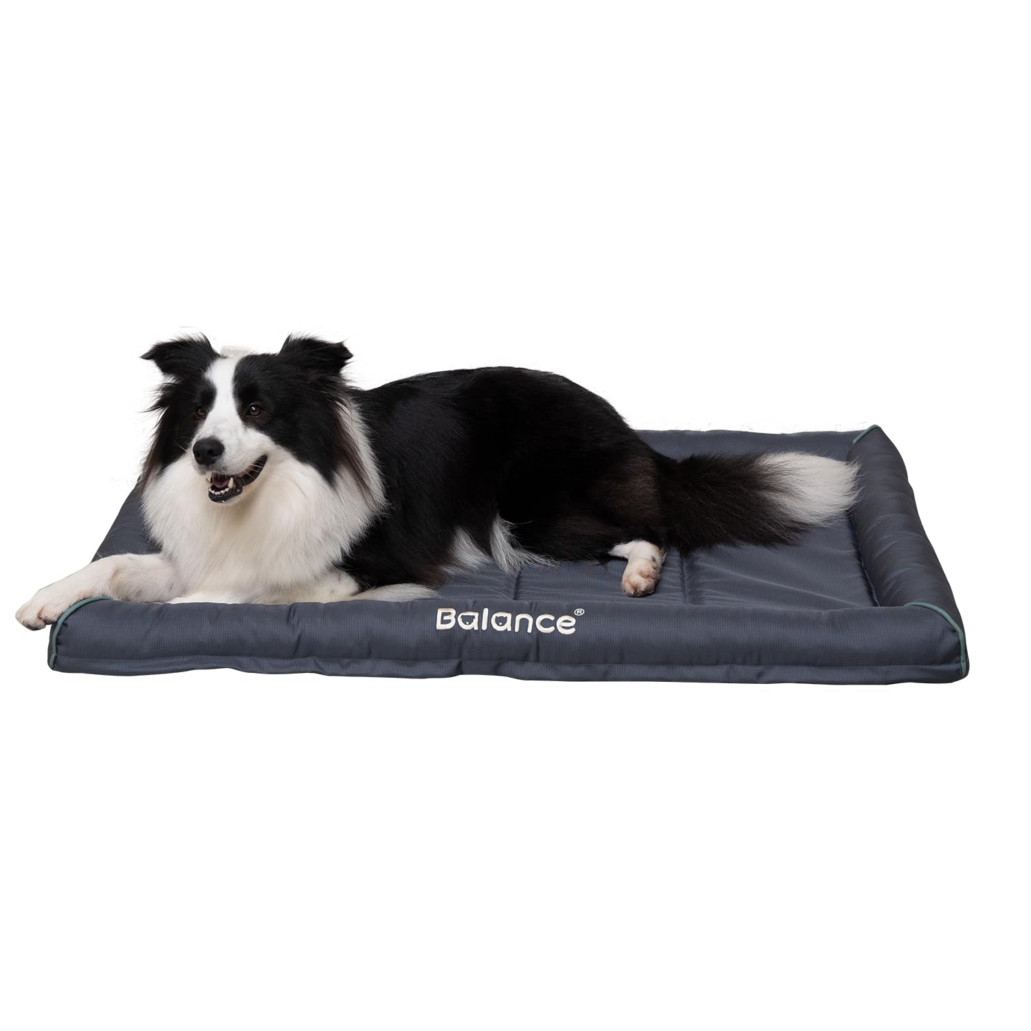 BALANCE Oxford Dog Bed for Large Dogs, Waterproof Dogs Crates Pad Outdoor Dog Crate Mat, Wipe Clean & Easy Rinse, 36 inch