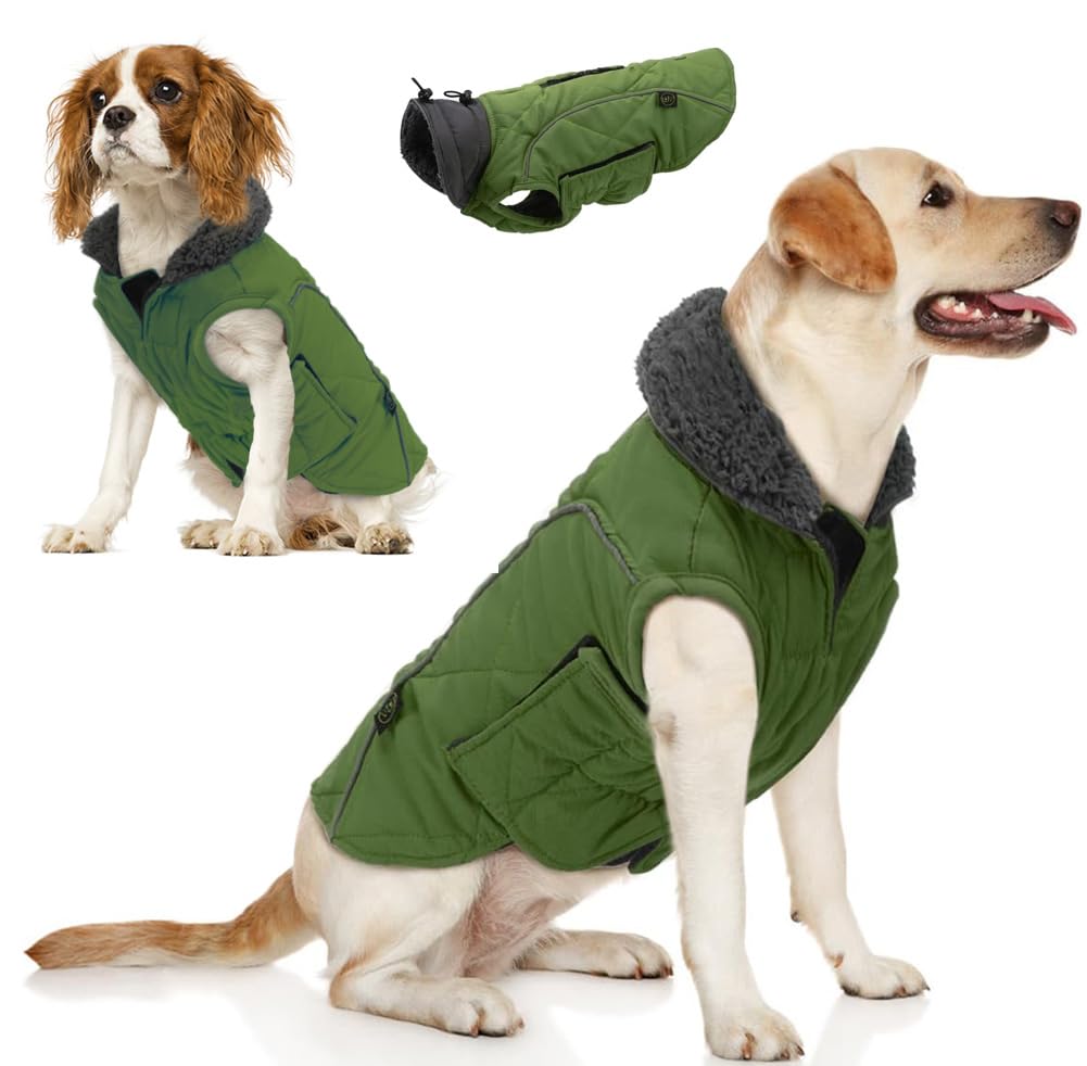 EMUST Winter Dog Coats, Fleece Pet Apparel for Cold Weather, British Style Windproof Warm Dog Jacket for Winter, Green, XS