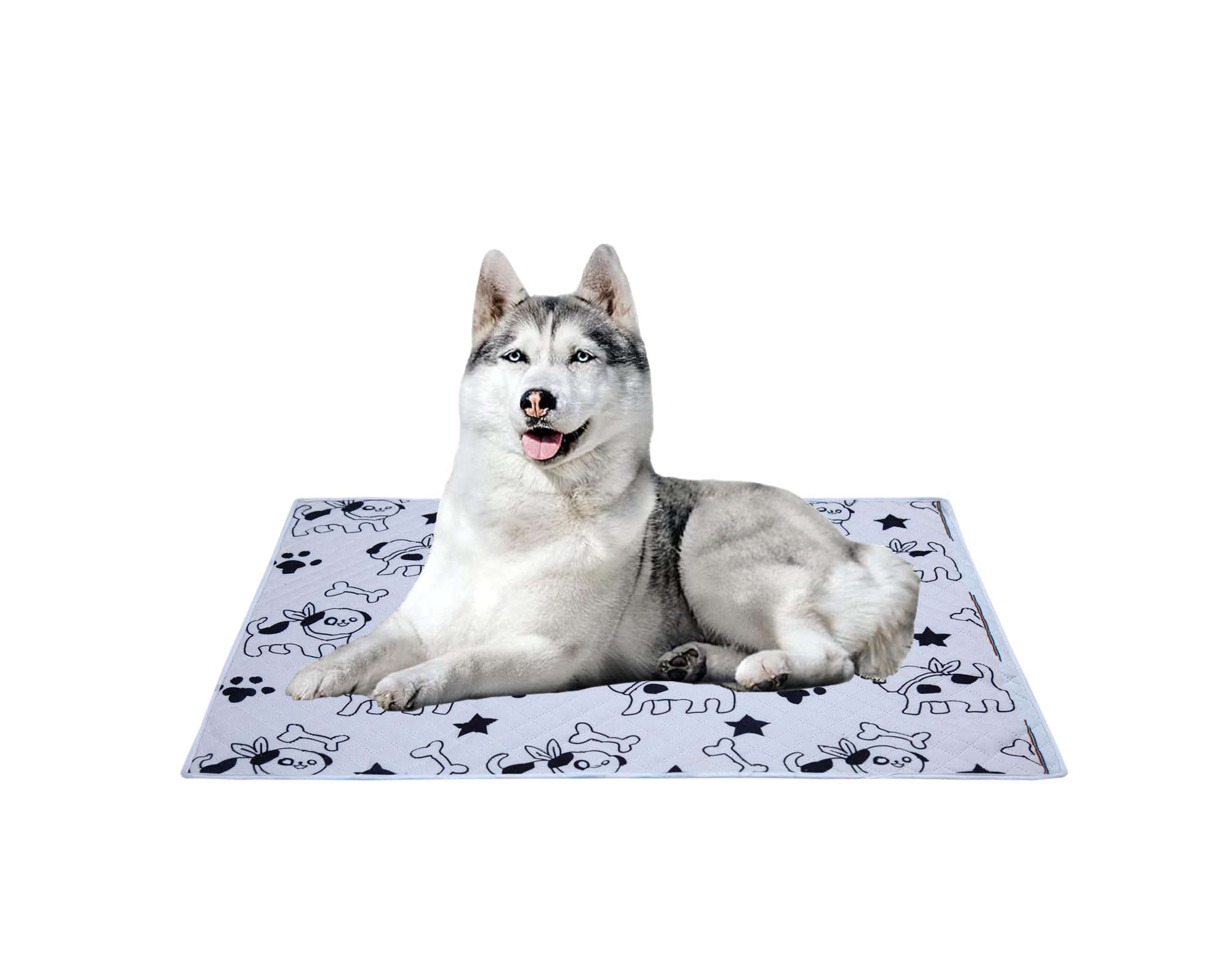 Aazeem Soft Light Weight Mat For Dogs, Cats & Pets, Skin Friendly Mat| Floormat | Pet Area Carpet | AntiSpill 27 X 40 Inches |B