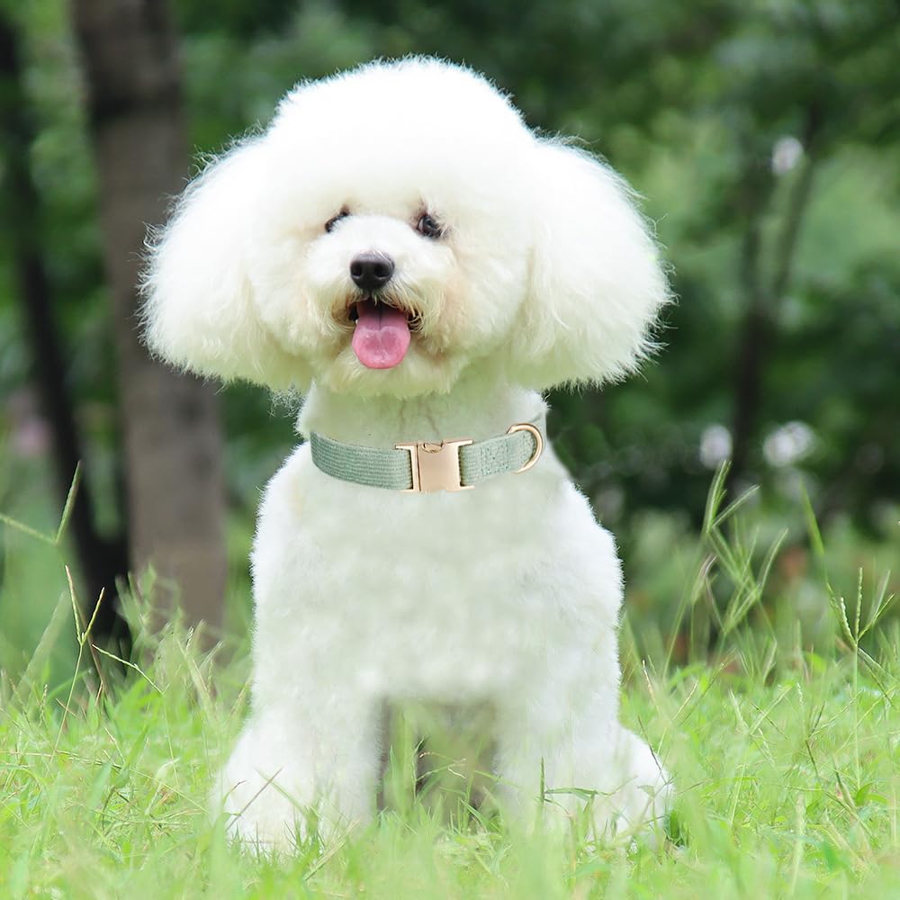 Ewinoom Soft Corduroy Dog Collar and Leash Set, Adjustable Cotton Dog Collars with Metal Buckle and Lead for Small Dogs,Grass Gr