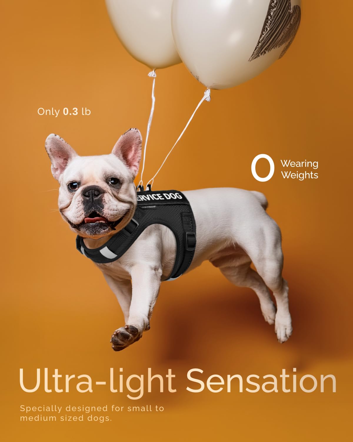 Fayogoo Service Dog Vest For Small Dogs - Air Mesh Breathble Emotional Support Animal Vest With Diy Removable Patches - Puppy Ha