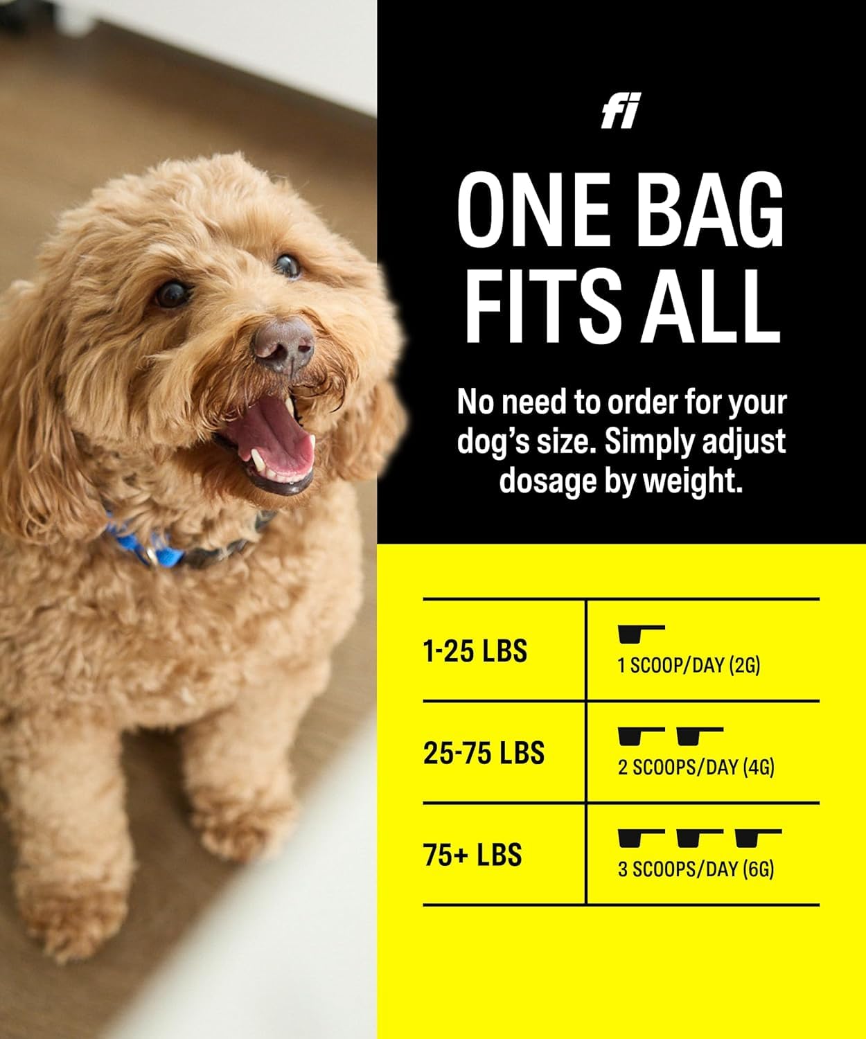 Fi 8-in-1 Dog Supplement Powder for Bone, Skin, Digestion & Immunity - 90 Scoops, Vet-Formulated for All Life Stages