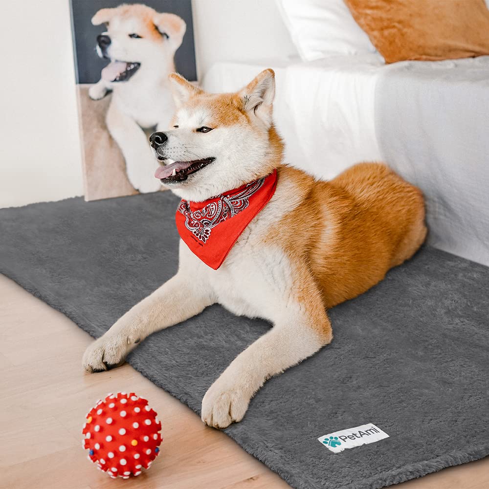 Petami Dog Blanket For Small Dogs Grey, Fluffy Soft Puppy Blanket, Sherpa Fleece Cat Blanket For Kitten Doggie, Calming Pet Blanket Throw For Couch Sofa Bed Washable, Small 24X32