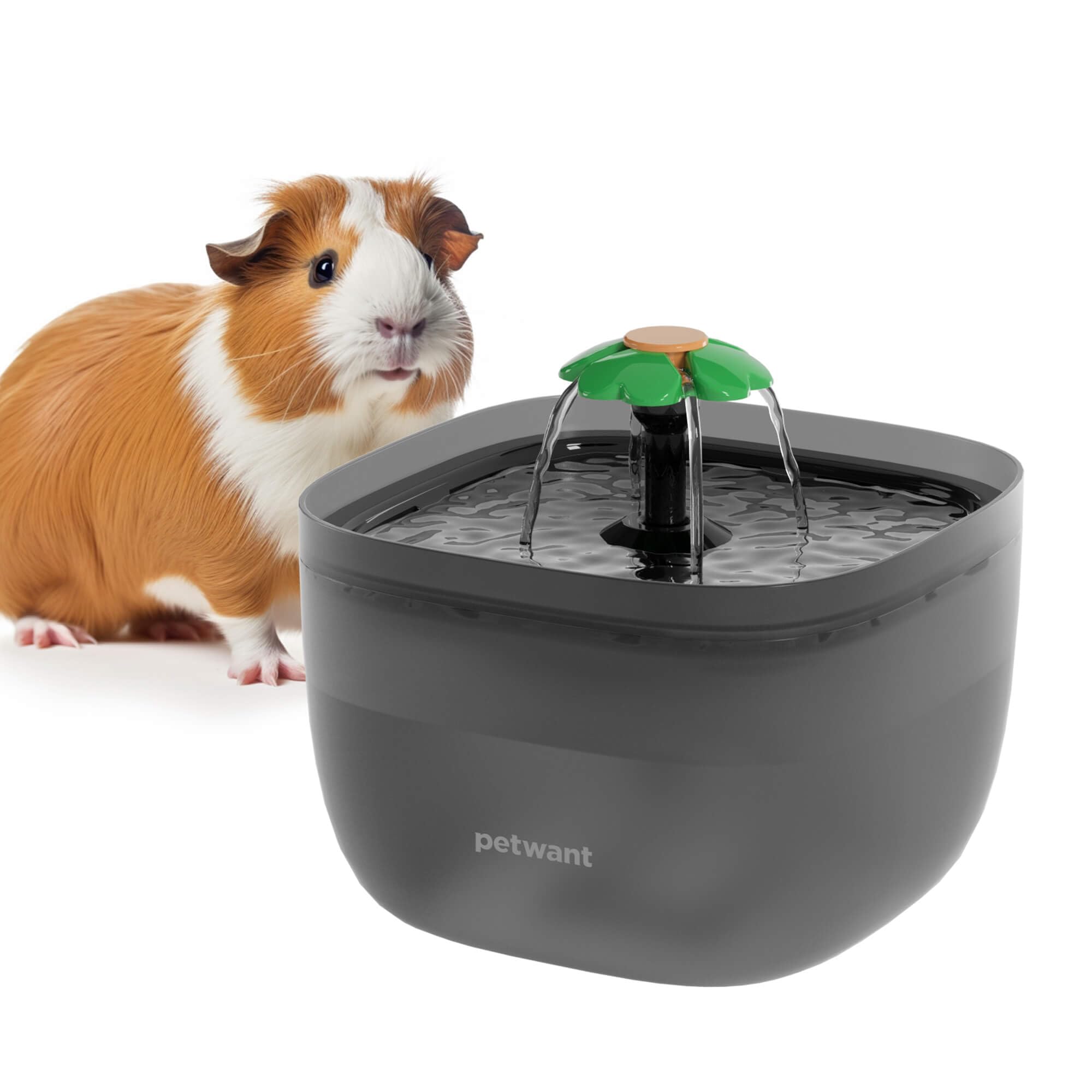 Auto Cat Water Fountain: 2L Capacity For Cats & Dogs Includes Replacement Filters & Travel-Friendly Set Large Capacity For Pets