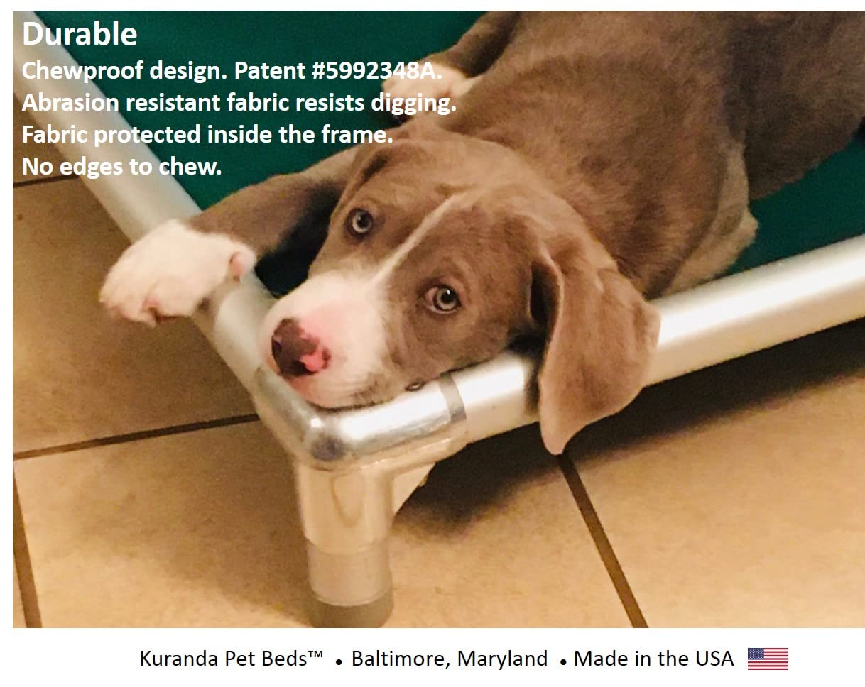 Kuranda Chewproof Bed - Silver Aluminum - 25'' x 18'' - Cordura Nylon - Forest