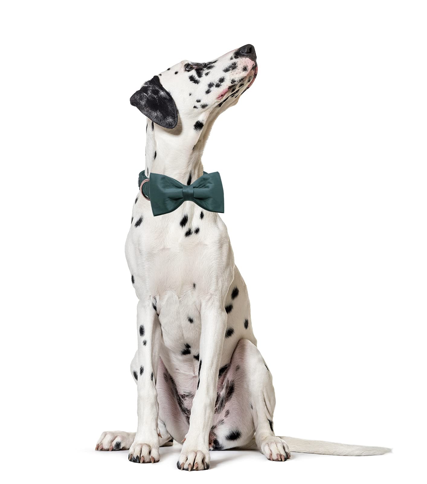 Lionet Paws Bowtie Dog Collar - Comfortable Silk Christmas Dog Collar With Detachable Bow Tie For Large Dogs, Neck 16-24 Inches