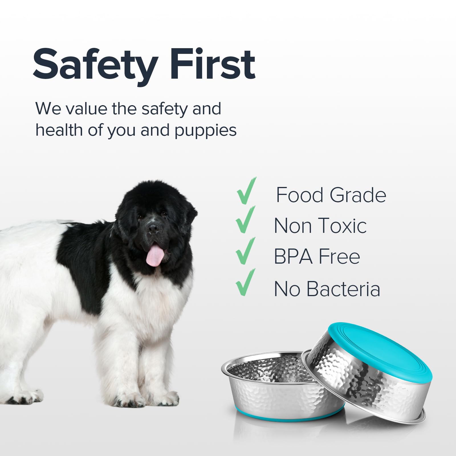 Urbuddies 2 Pack Hammered Stainless Steel Dog Bowls, 11 Cup, Turquoise Bottom