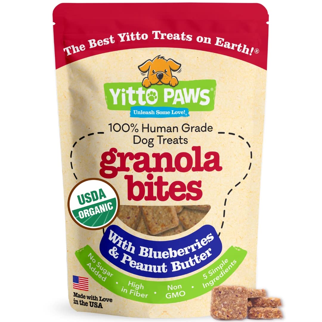 Crunchy Organic Blueberry Dog Treats, Oats & Peanut Butter Healthy Dog Treats, Vegan All Natural Dog Training Treats Made in USA