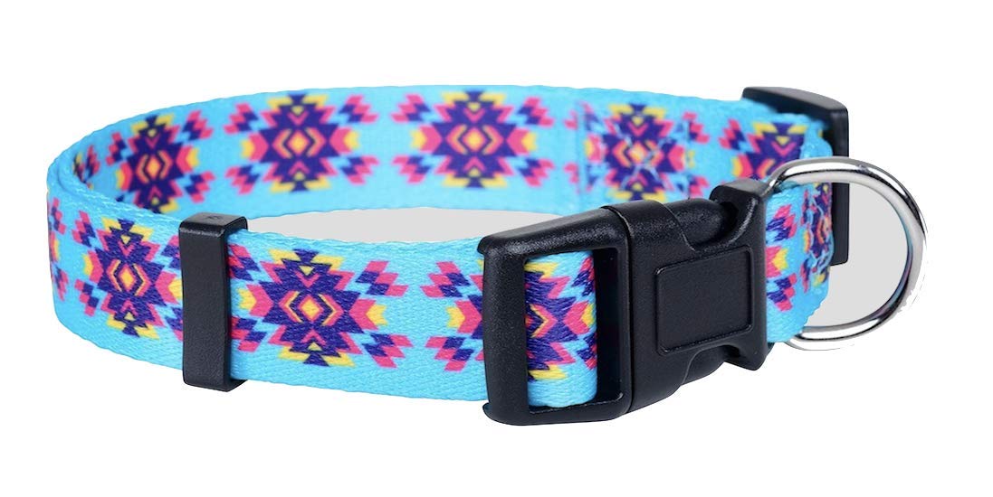 Native Pup Western Dog Collar, Cute Designer Aztec Tribal Pattern, Male Female (Small, Turquoise)