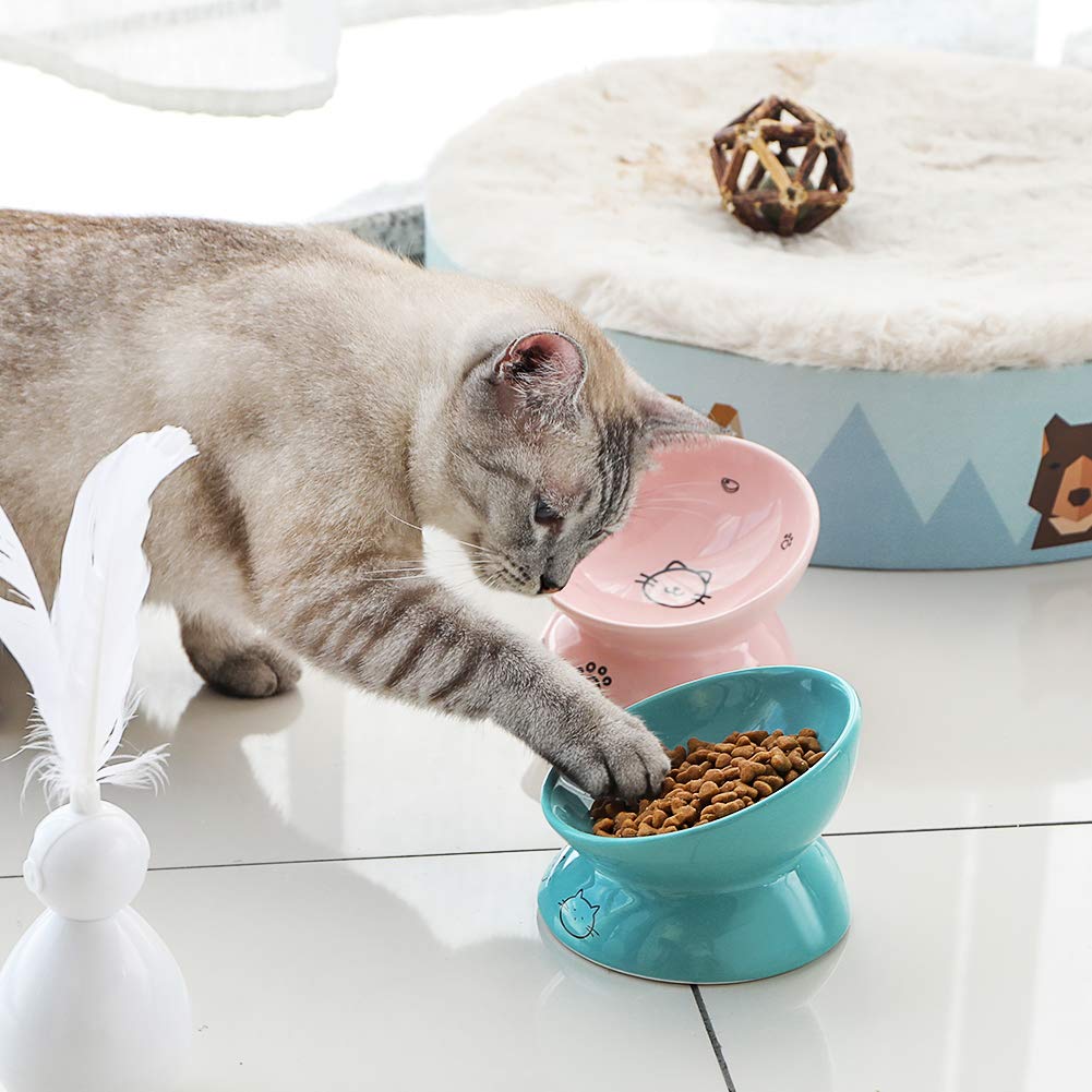 Sweejar Ceramic Raised Cat Bowls, Slanted Cat Dish Food or Water Bowls, Elevated Porcelain Pet Feeder Bowl Protect Cats Spine,