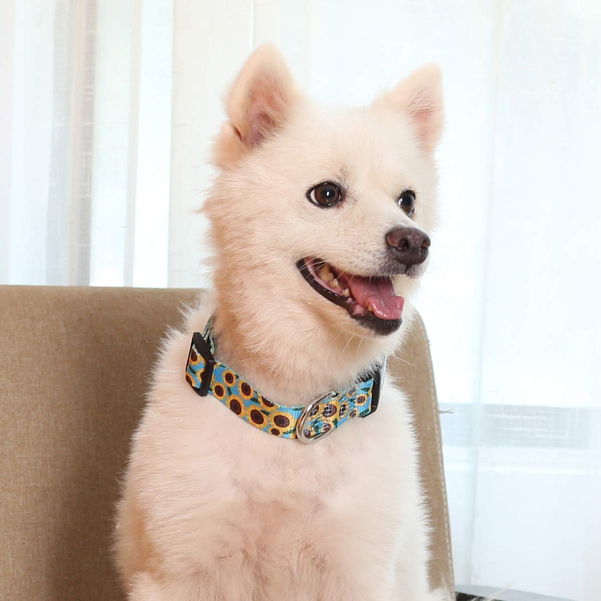 Coomour 2Pcs Sunflower Dog Collars And Pet Floral Leash Set Puppy Adjustable Collars For Small Medium Large Dogs Boys Girls (Sma