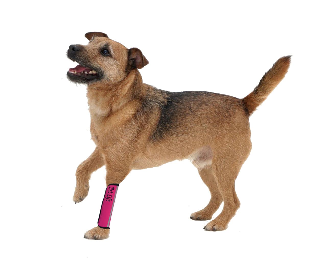 Extreme-Neoprene Joint Protective Reflective Pet Sleeves(D0102H7LZGW.)