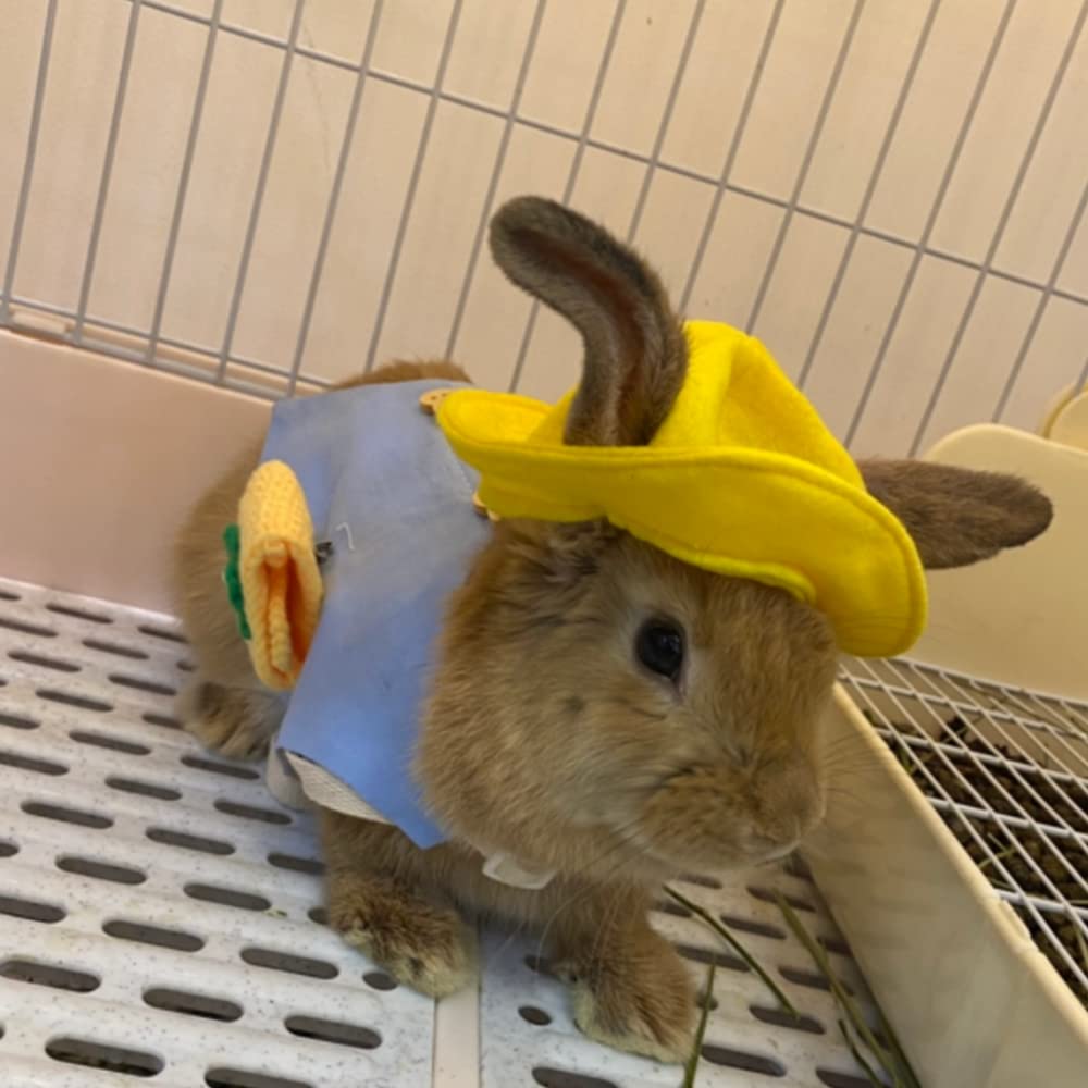 Aniac Funny Cat Hat For Cat Xxs Dog Sun Hat With Ears Hole Rabbit Outfit For Bunny Mini Sombrero Puppy Hat Party Costume Head Ac