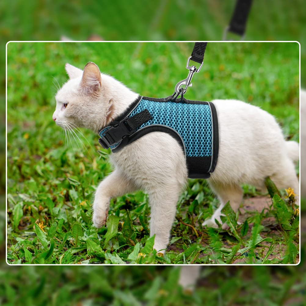 Pupteck Soft Mesh Cat Vest Harness And Leash Set Puppy Padded Pet Harnesses Escape Proof For Cats Small Dogs (Large, Lake Blue)