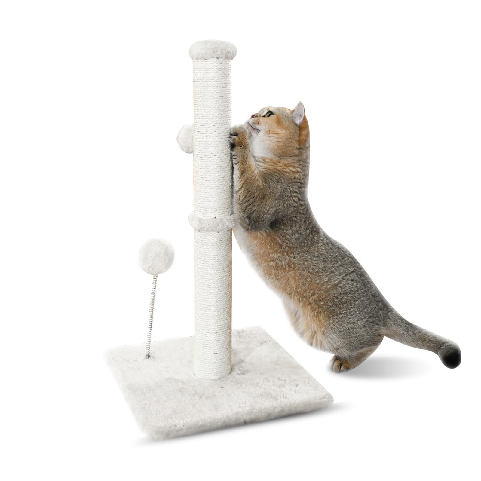 Kingrock Tall Cat Scratching Posts For Indoor Cats, Scratching Post With Plush Toys For Kittens Or Smaller Cats, Premium Sisal P