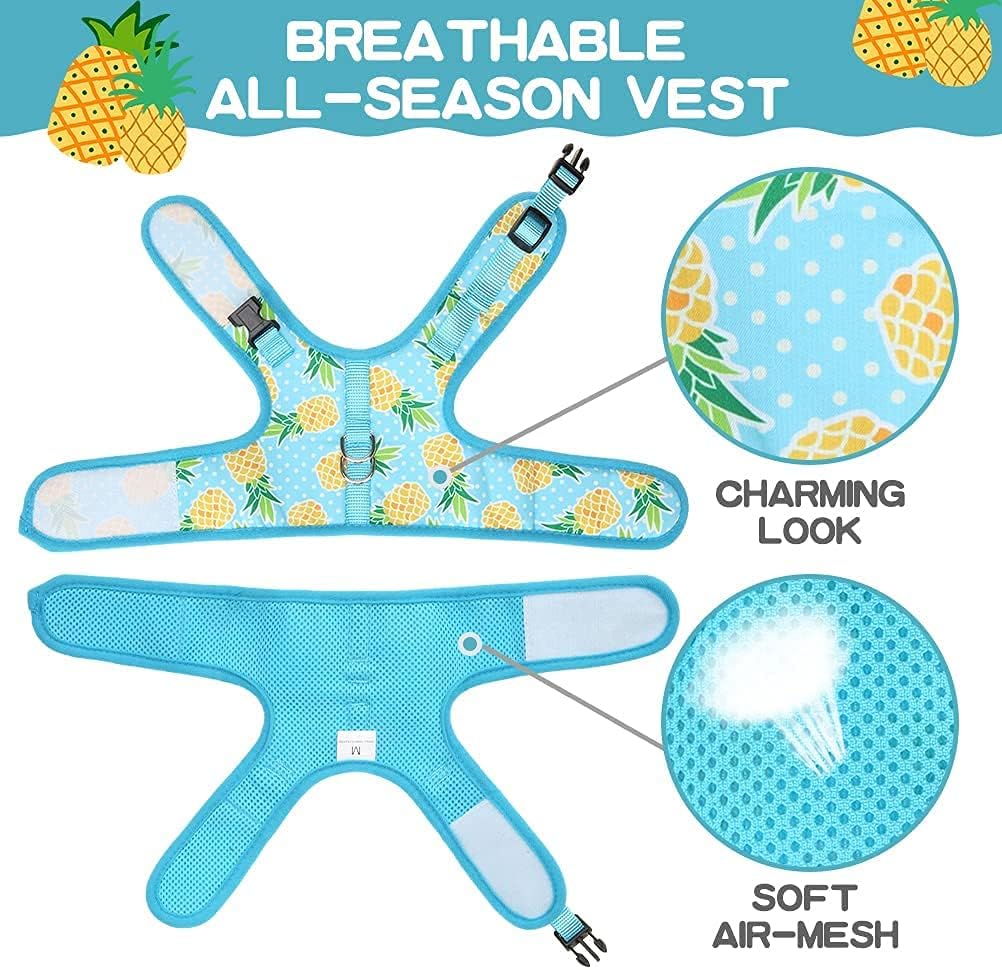 Bingpet Cat Harness - With Leash Included - Mesh Cat Dog Walking Harness Adjustable Harness For Kitties Puppy Harness Adjustable Cat Vest Harness Pineapple