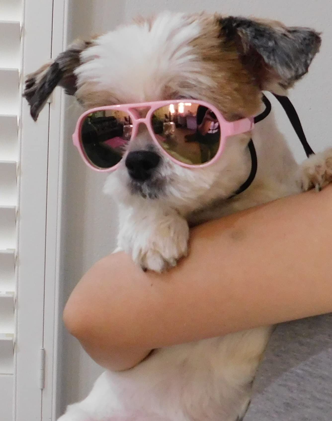 G029 Small Dog Breed Up To 15Lbs Cat Pet Aviator Sunglasses Glasses (Black)