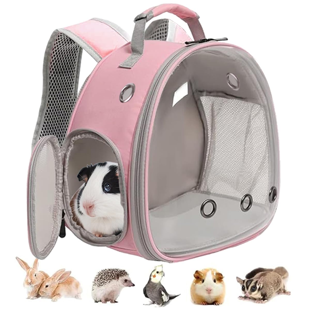 Lairies Guinea Pig Carrier, Clear Bubble Window For Guinea Pig, Bunny Rat Bird (Pink, Backpack)