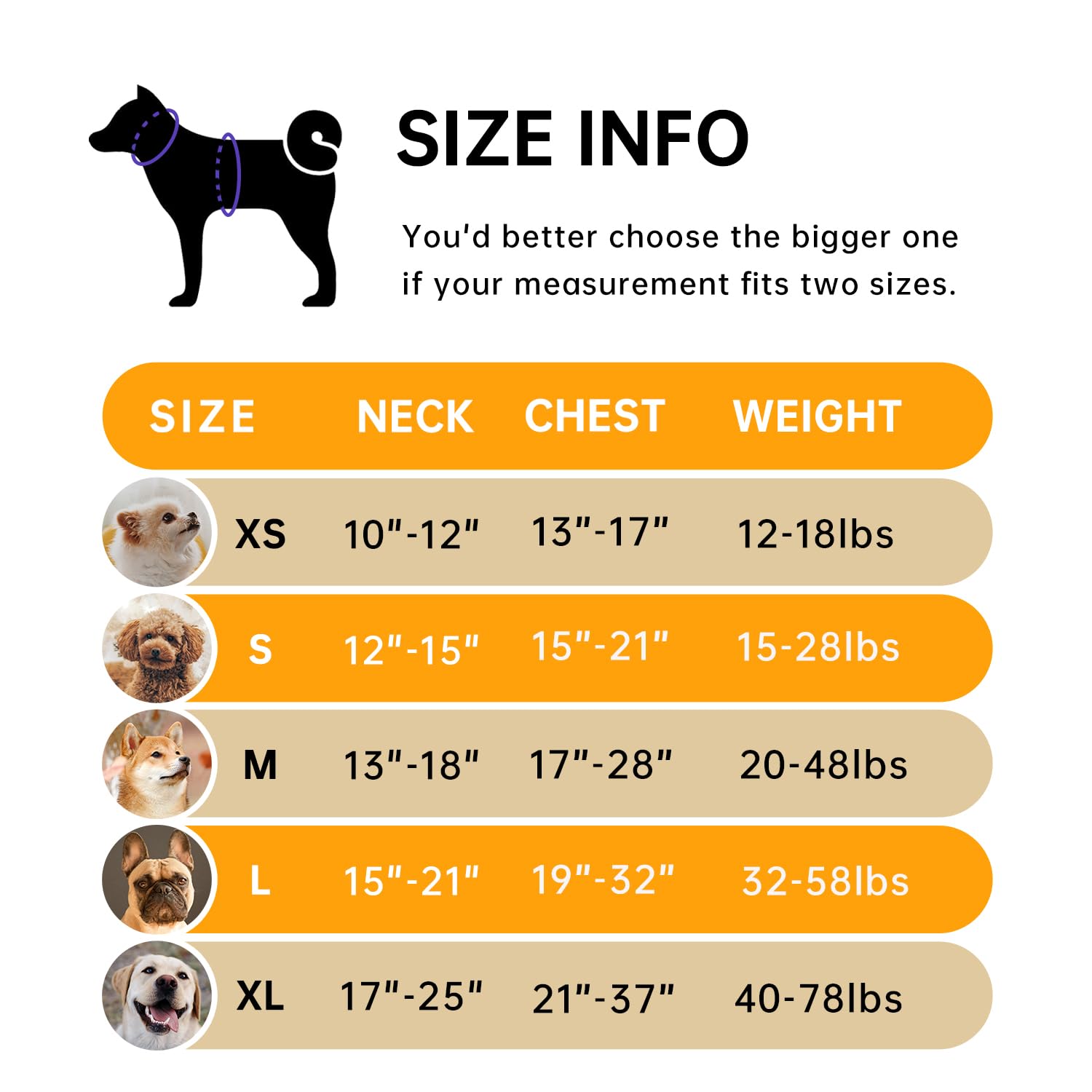 Ivy&Lane No Pull Dog Harness For Small Dogs, Vest Harness With Leash, Safety Belt And Storage Strap, Fully Adjustable, 360 Refle