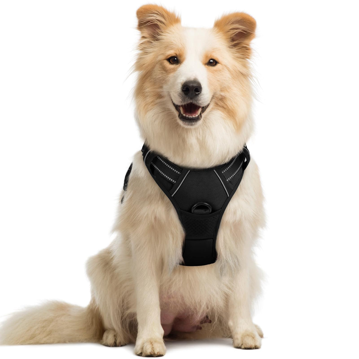 Rabbitgoo Dog Harness, No-Pull Pet Harness With 2 Leash Clips, Adjustable Soft Padded Dog Vest, Reflective No-Choke Pet Oxford Vest With Easy Control Handle For Medium Dogs, Black, M