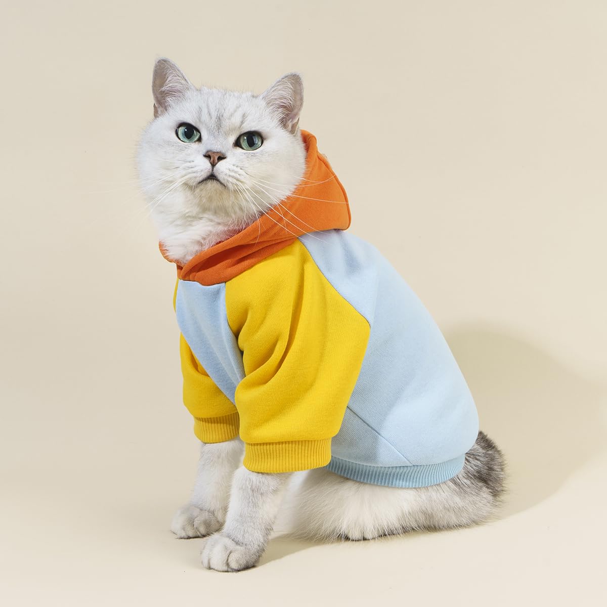 Qwinee Basic Dog & Cat Apparel - Warm Jacket & Shirt For Small Medium Dogs & Cats, Orange & Blue Medium