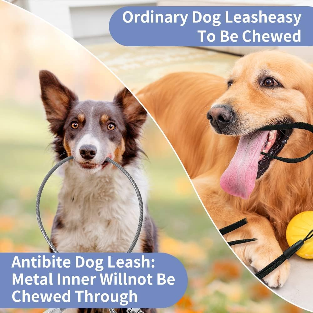 Miao Chuai Chew Proof Dog Leash Extension,Support Add To Any Leash & Collar & Harness,Dog Lead Extender For Large And Medium Dogs Walking Running And Training (2Pack Black+Transparent, 24 Inch/60Cm)
