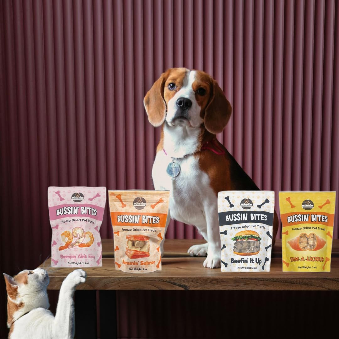 The Dog Bodega Bussin Bites Premium Freeze Dried Fish Dog Treats Cat Treats, 100% Pure Salmon, Jammin Salmon, 1.5 oz