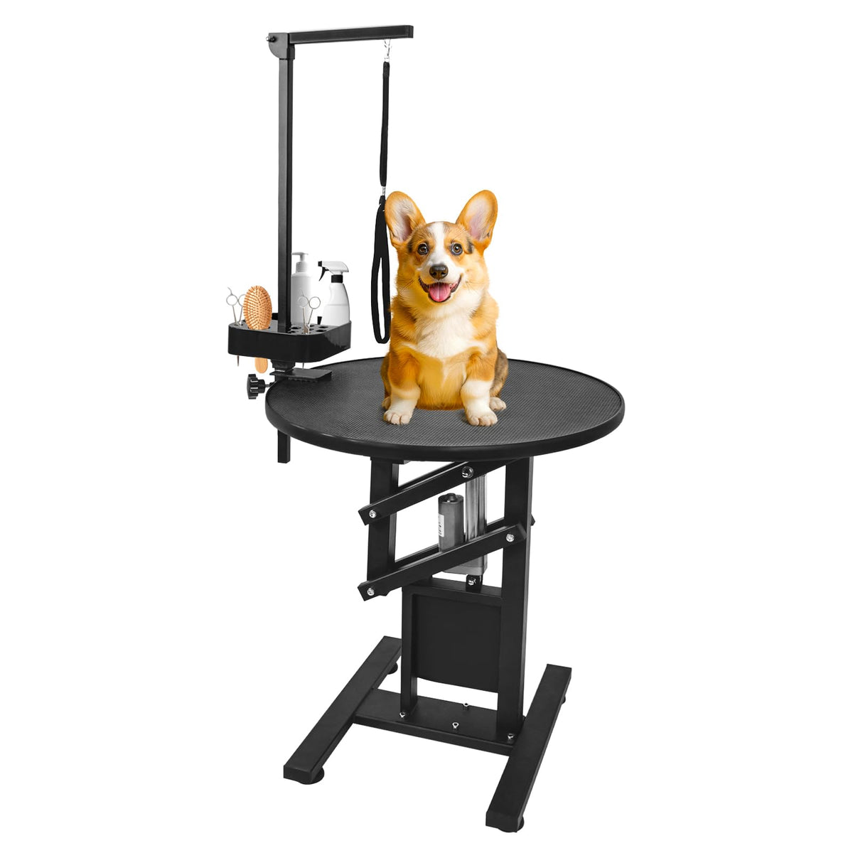 Shmqysy Electric Dog Grooming Table, Height Adjustable Pet Grooming Table For Small Dogs At Home, Professional Electric Lift Tab