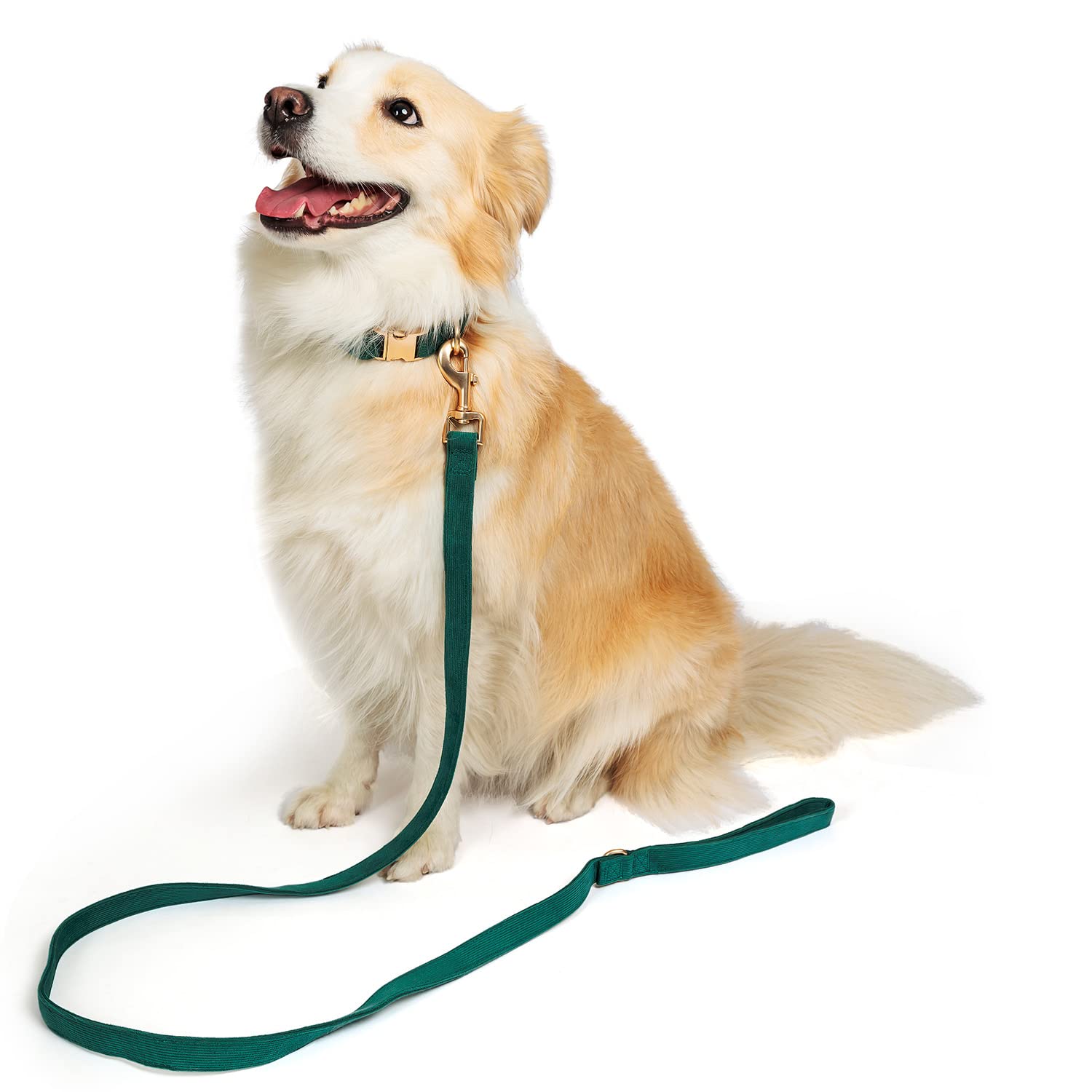 Ewinoom Soft Corduroy Dog Collar and Leash Set, Adjustable Cotton Dog Collars with Metal Buckle and Lead for Small Dogs,Dark Gre