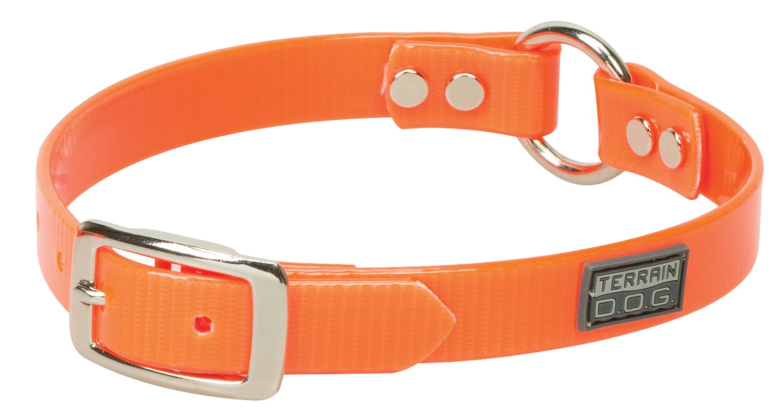 Terrain D.O.G. Brahma Webb Clear Coat Dog Collar, 3/4' X 17'