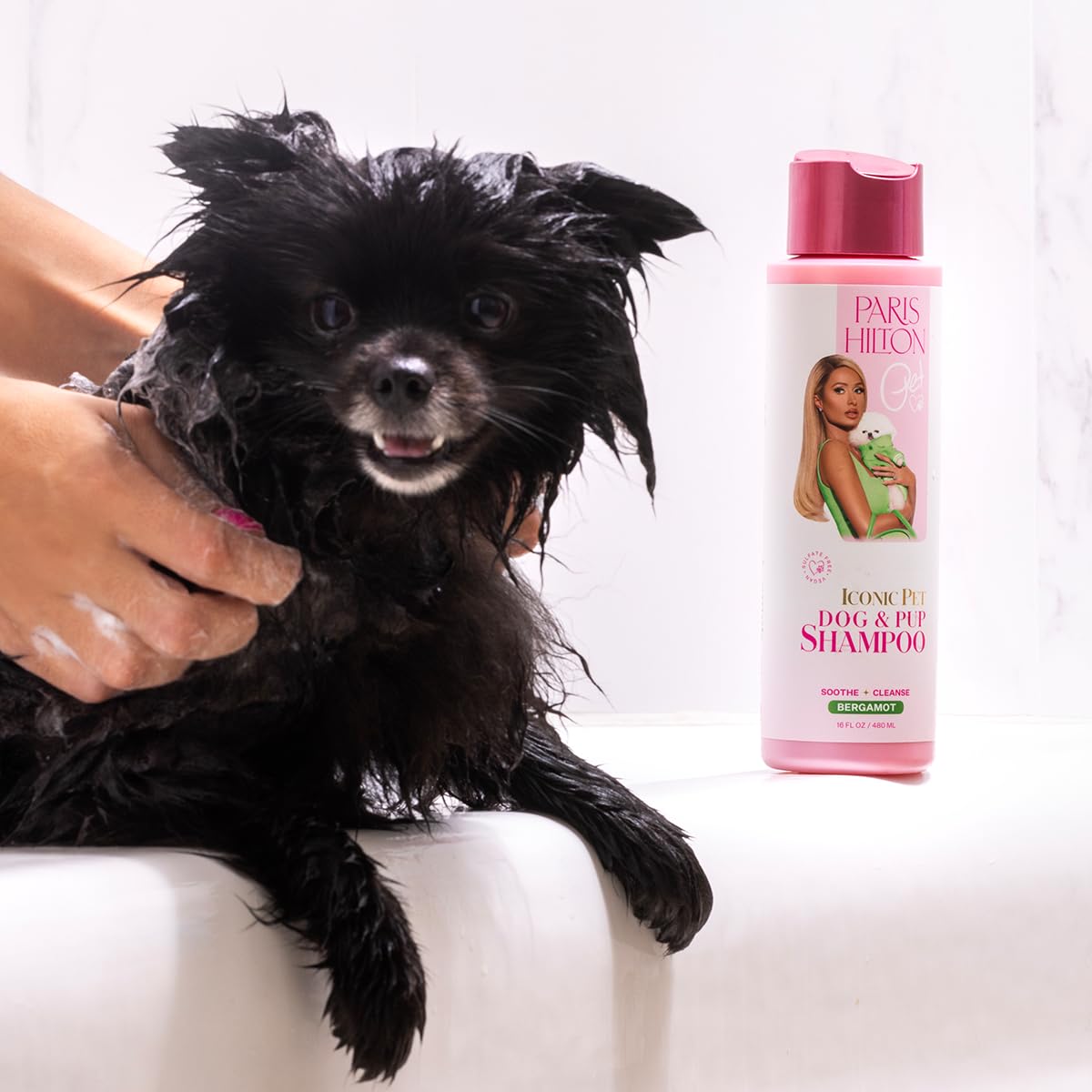Paris Hilton Dog Shampoo - Fresh Citrus-Infused Bergamot Scent, Sulfate-Free Vegan & Hypoallergenic for All Dog Breeds, with Oat