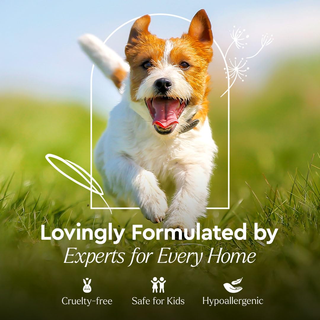 Puracy Natural Platinum Pet Stain And Odor Remover - Plant-Powered Professional Pet Urine Odor Eliminator With Natural Enzymes - Safe And Effective Carpet Pet Stain Remover And Cleaner, 739Ml, 25Oz