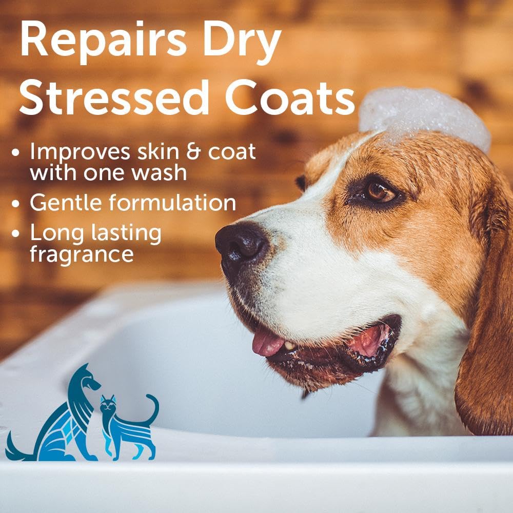 Nootie - Pet Shampoo For Sensitive Skin -      Revitalizes Dry Skin & Coat - Natural Ingredients - Soap, Paraben & Sulfate Free