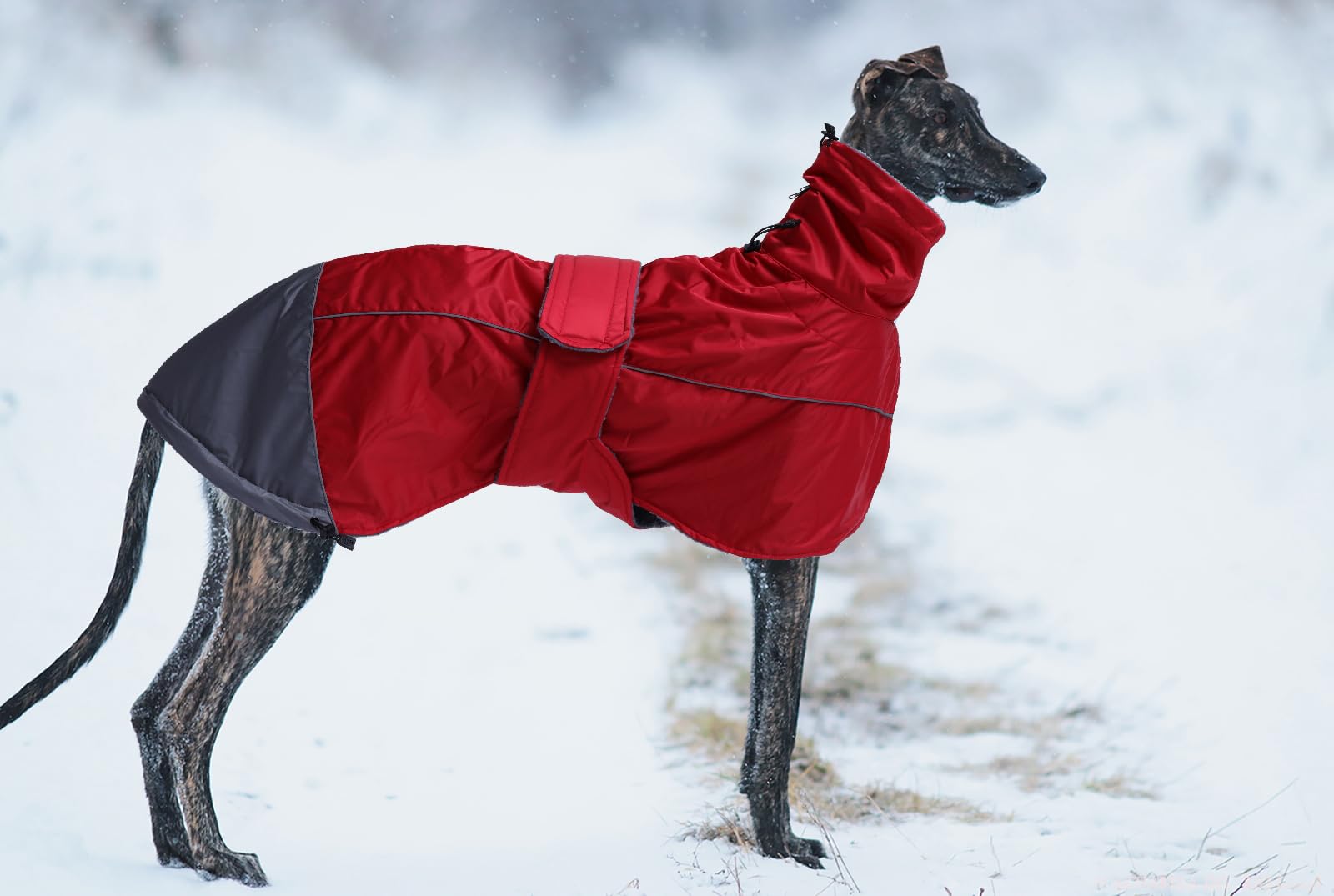 Greyhound Lurcher Winter Coat, Whippet Jacket With Padded Fleece, Water Resistant Dog Snowsuit With Adjustable Bands And High Reflective Be Safety - Red - Xsmall