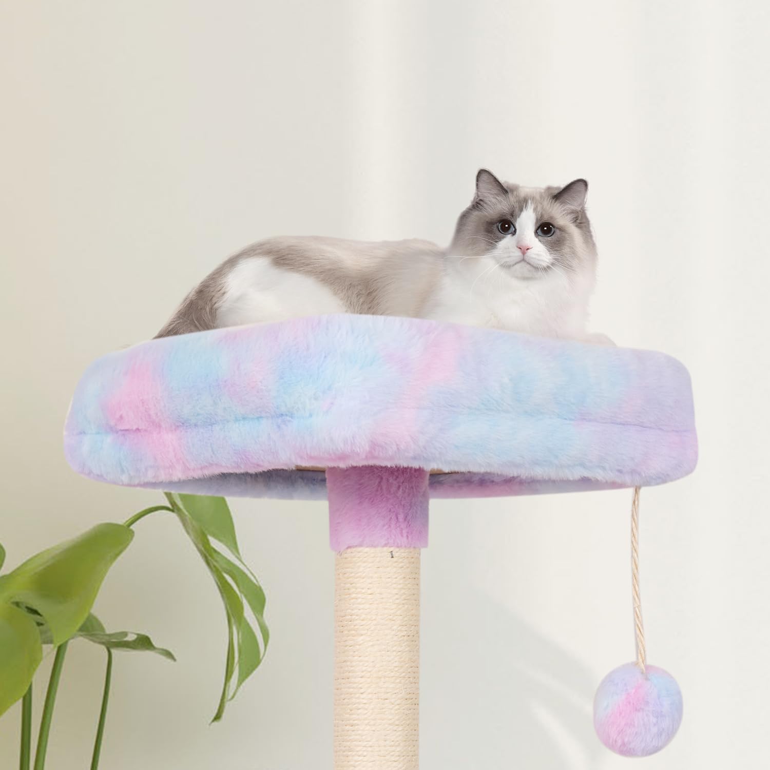 Miao Paw Rainbow Cute Cat Tree For Indoor Cat Tower With Scratching Post Modern Activity House Hammock Hanging Ball Condo With B