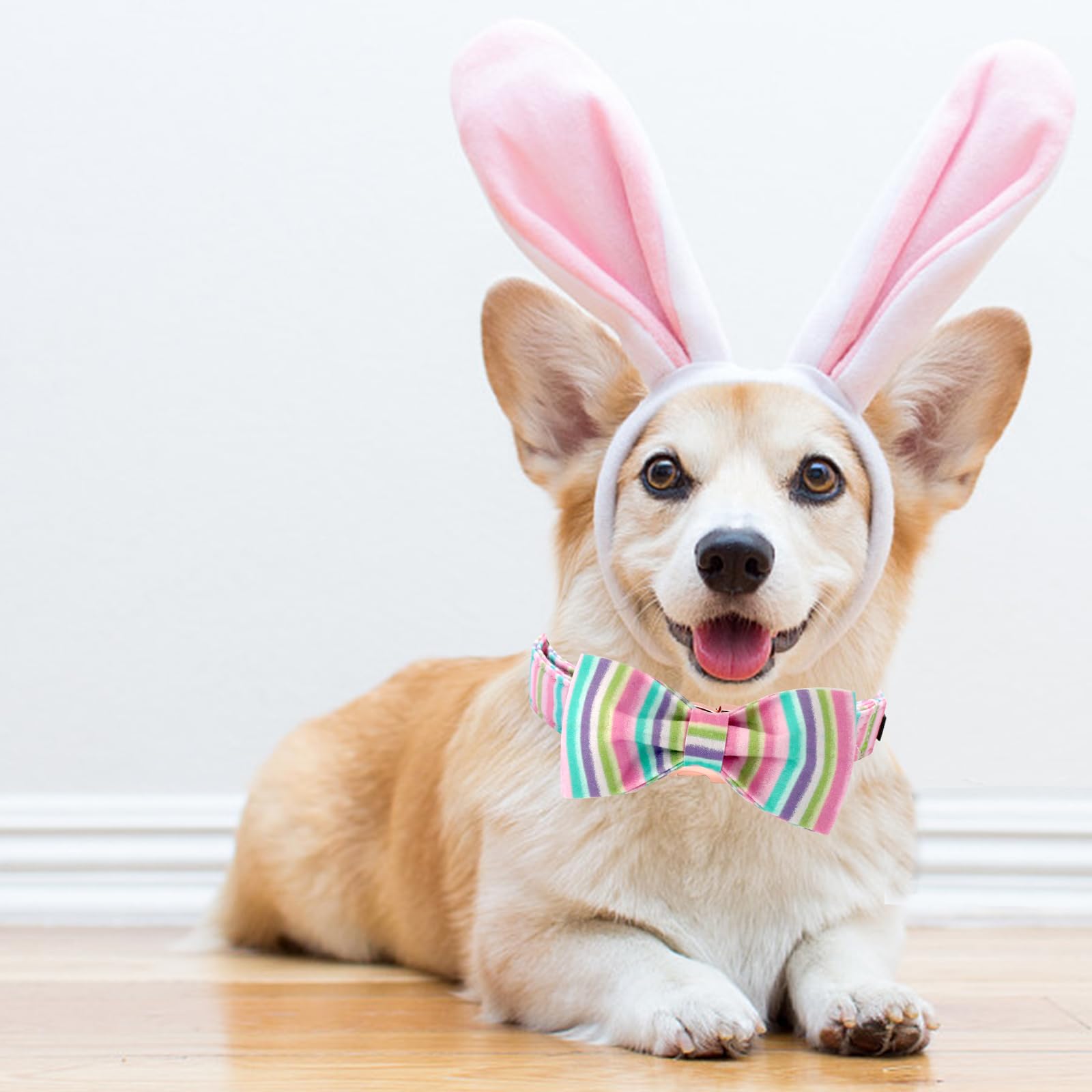 Lionheart Glory Easter Dog Collar, Dog Collar With Bow, Pet Collar Adjustable Collar For Dog Bowtie Dog Collars For X-Large Dogs