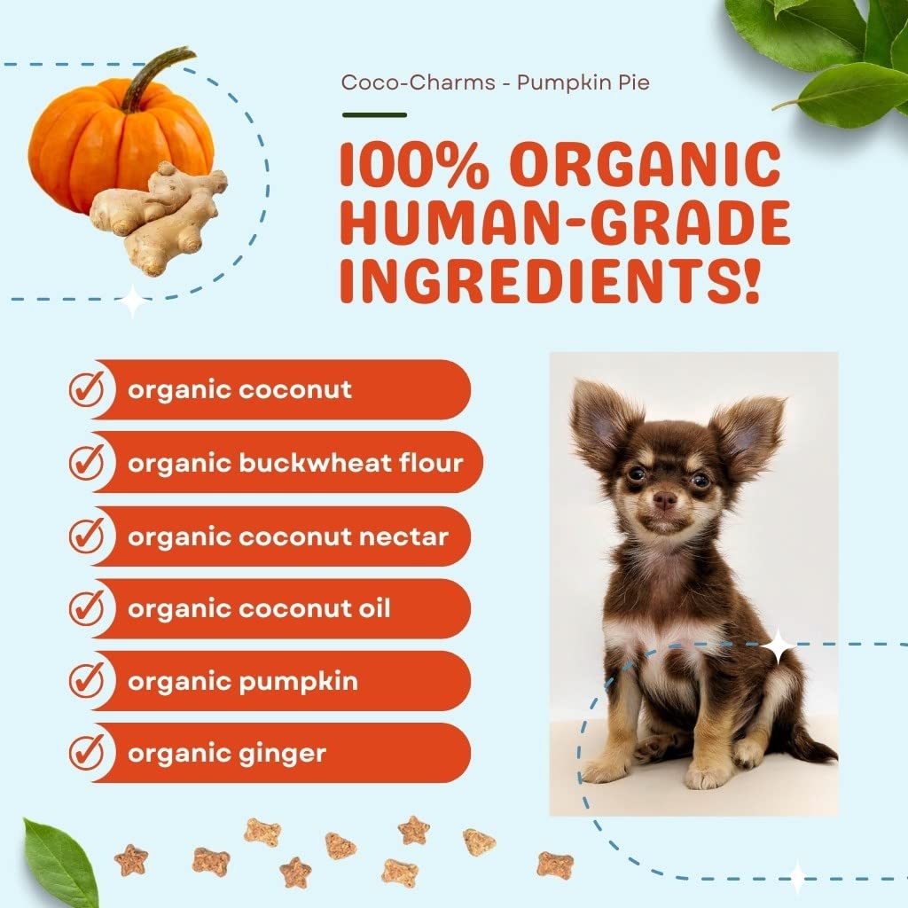 Cocotherapy Coco-Charms Training Treats - Pumpkin Pie, (1 Pouch), 5 Oz.